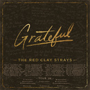 UPDTED RCS Grateful Tour Square Template w support.jpg