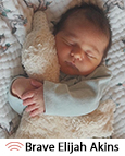 Brave-Elijah-Akins26.jpg